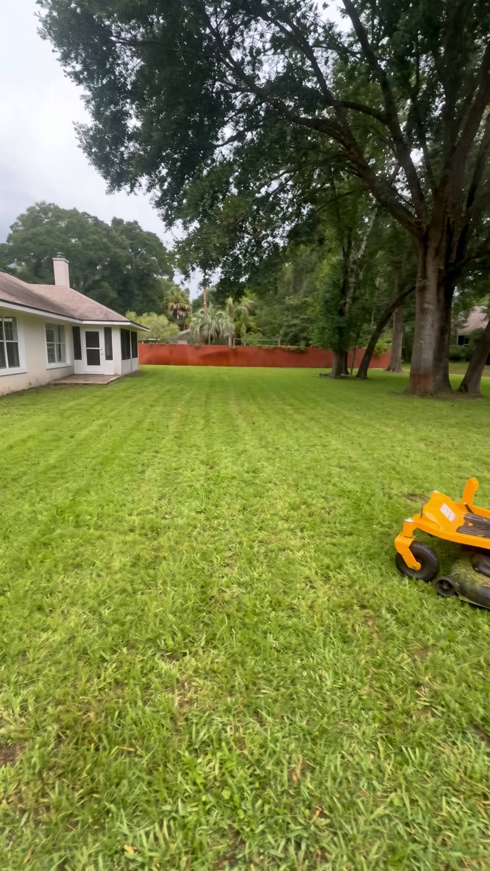 Freshly mowed backyard