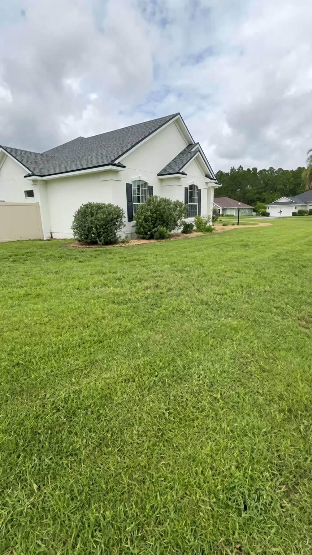 Freshly cut lawn beside a Florida home
