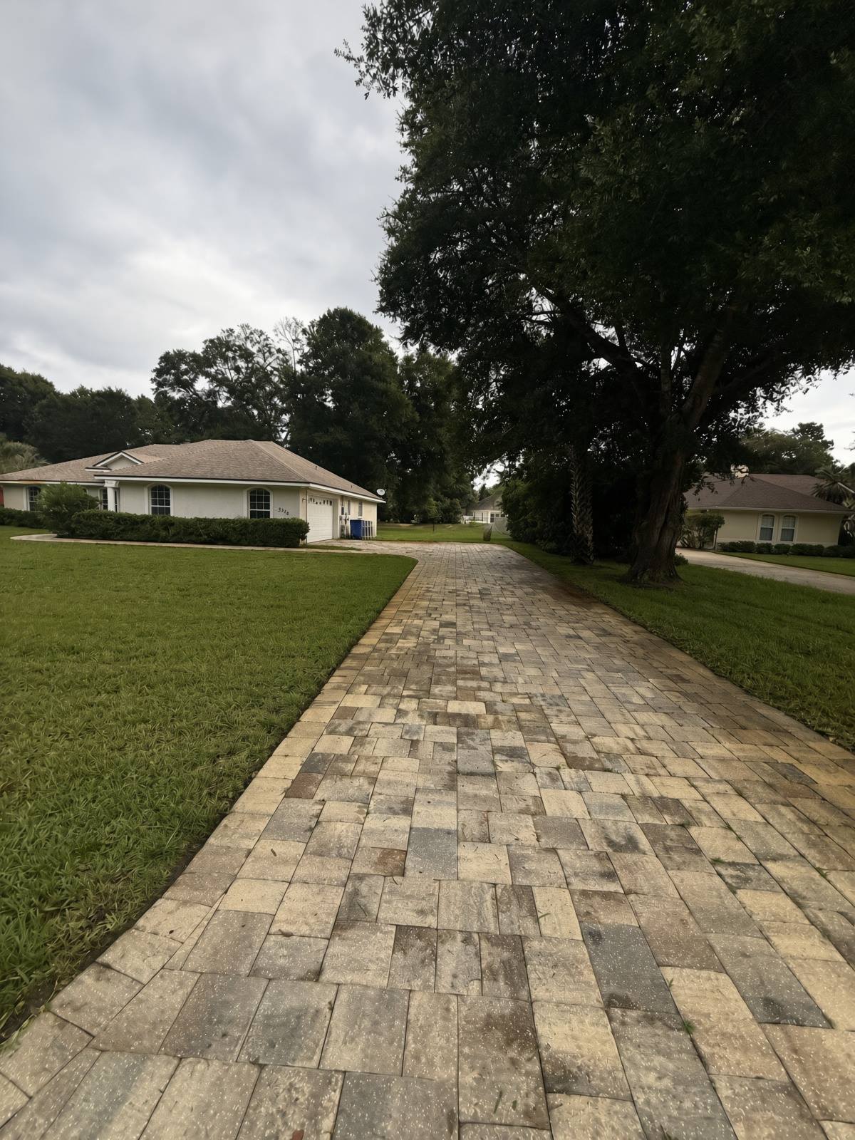 Paver walkway beside a freshly cut lawn